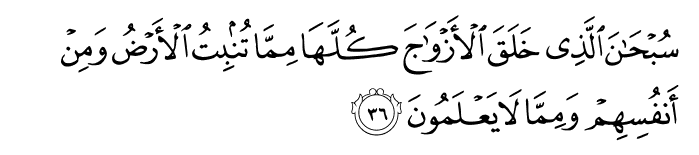 surah yasin ayat 36