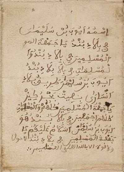 surat ayuba suleiman diallo