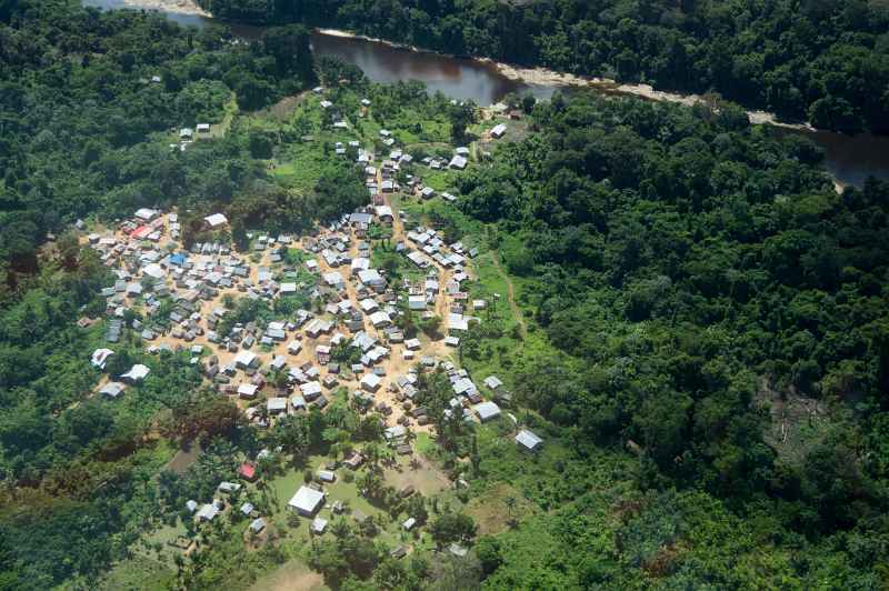 suriname kawasan hutan