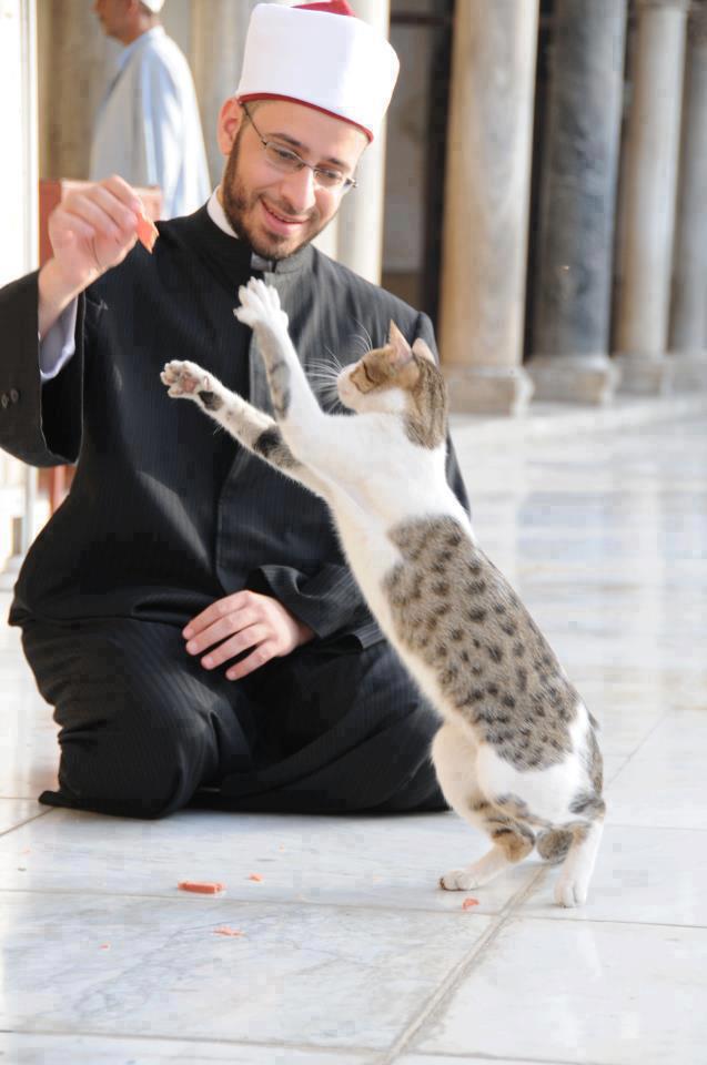 syeikh usamah bersama kucing