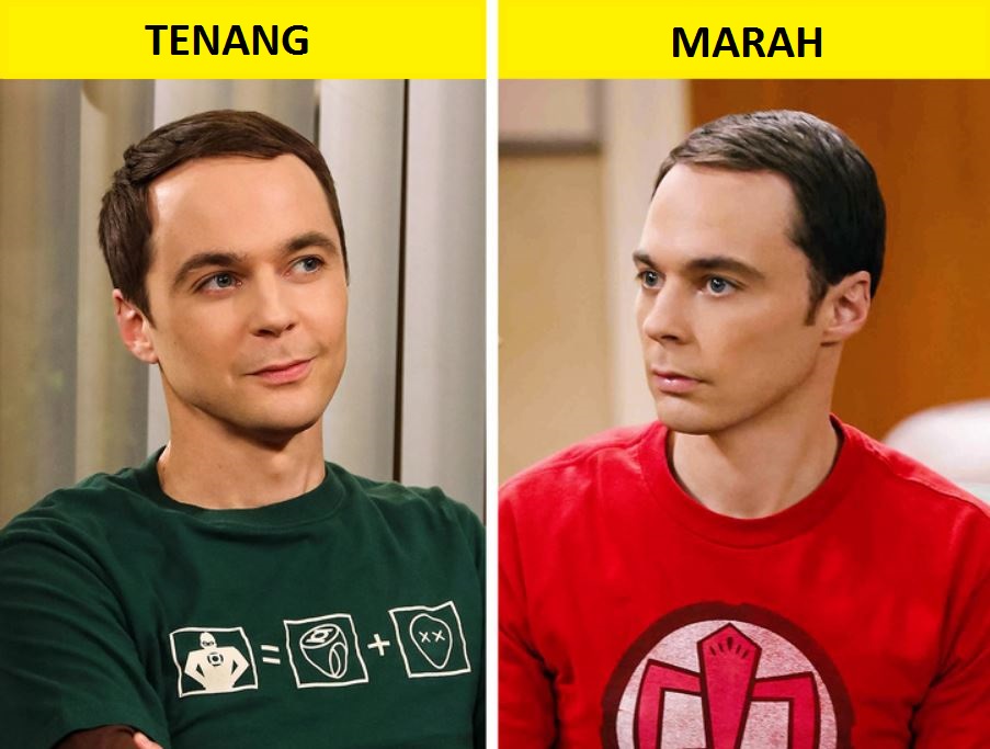 t shirt sheldon melambangkan perasaannya