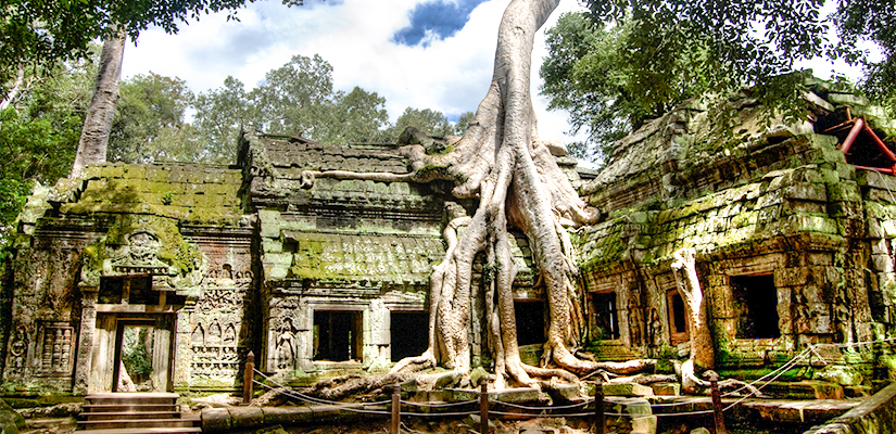 ta prohm temple