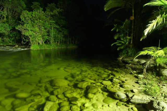 taman negara daintree tempat di dunia yang tidak pernah diterokai manusia