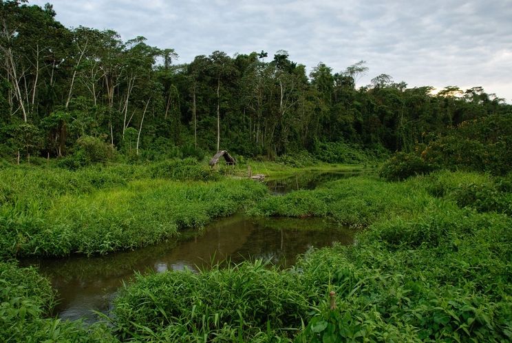 taman negara man