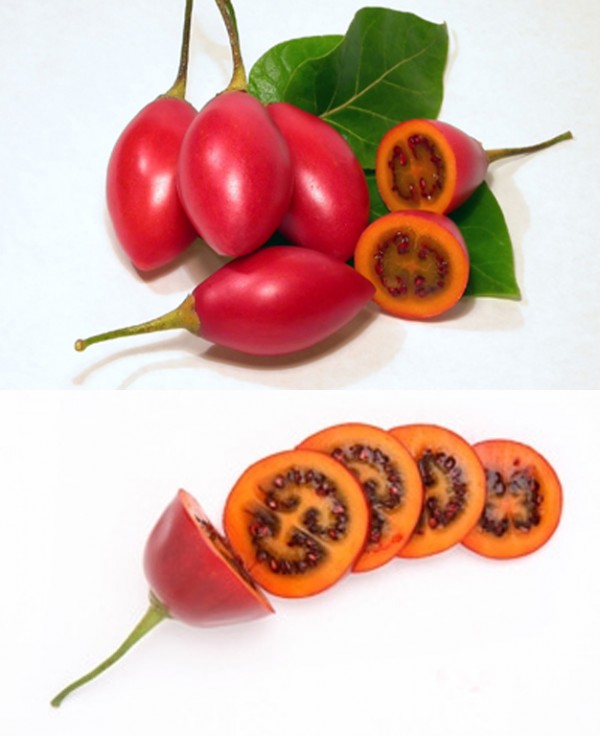 tamarillo