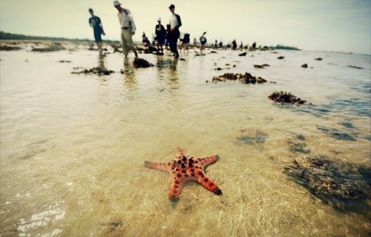 tapak sulaiman pulau semakau tapak pelupusan sampah singapura