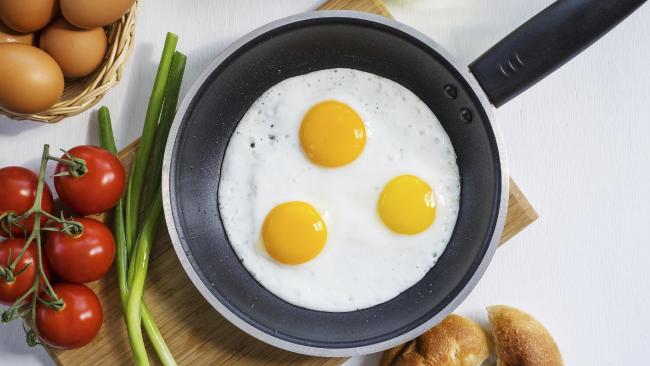 telur ayam yang selalu kita makan