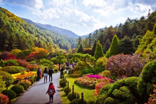 tempat wajib di korea selatan