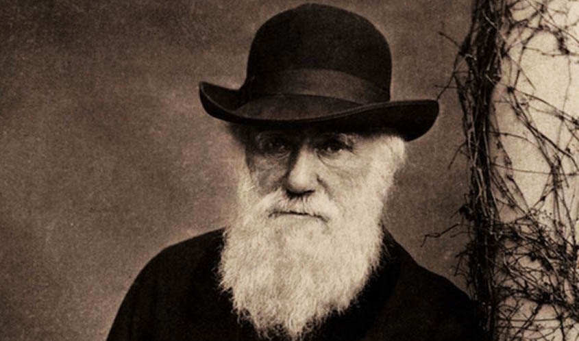 teori charles darwin tentang evolusi manusia 106