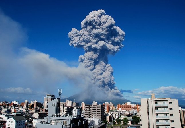 the schools near sakurajima