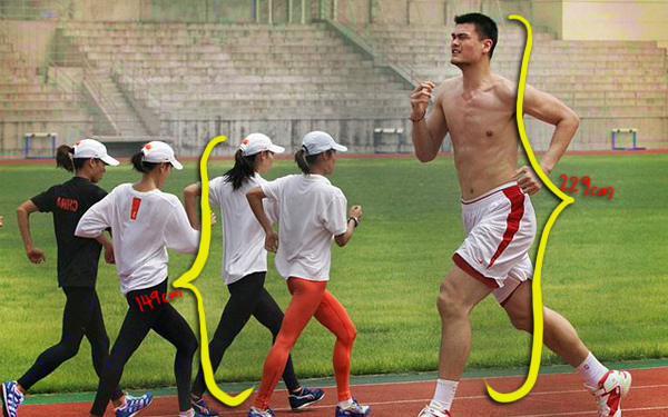 tinggi yao ming