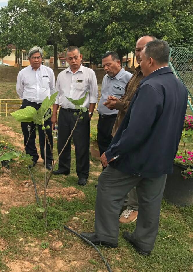 tinjauan projek penanaman tin di polimas