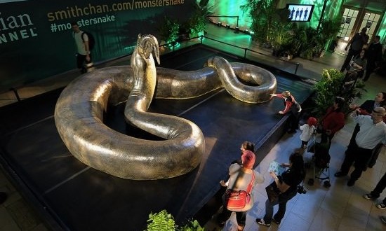 titanoboa 475