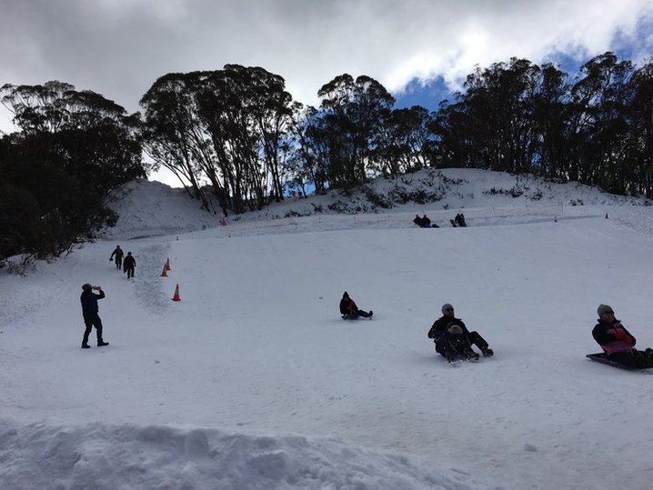 toboggan mt buller melbourne