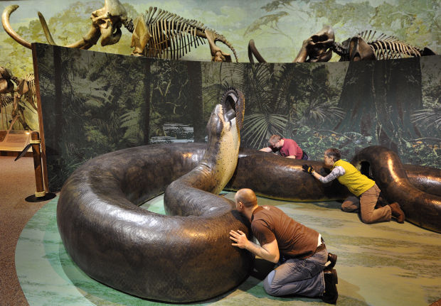 ular gergasi titanoboa 715