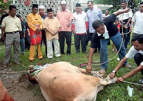 upacara sembelih korban