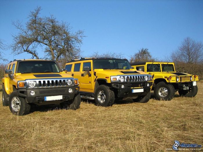 varian hummer