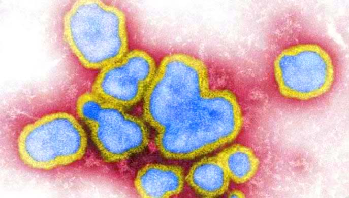 virus influenza