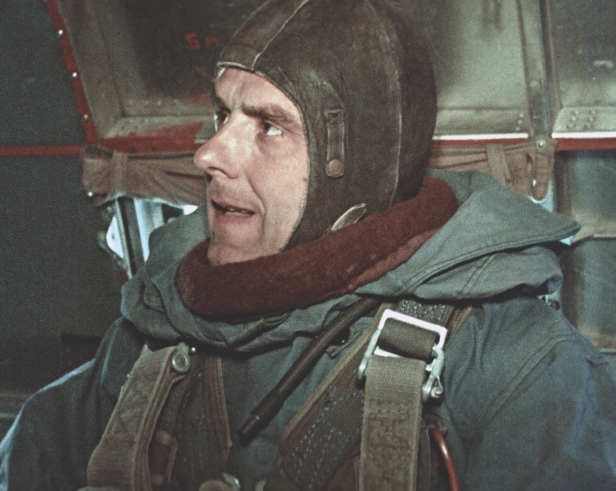 vladimir komarov