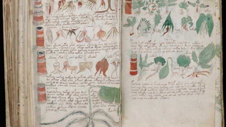 voynich manuscript 7ej77