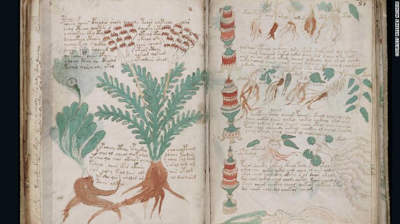 voynich manuscript