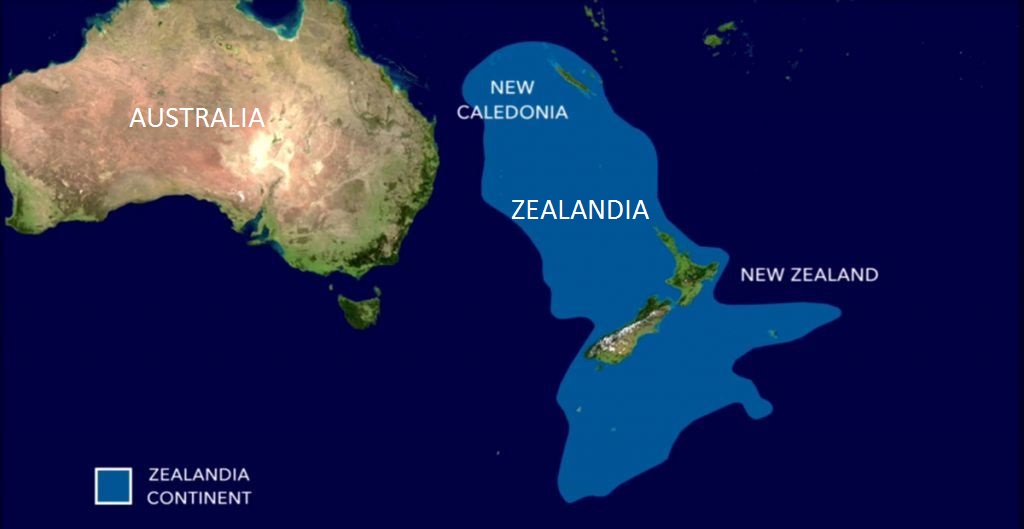 zealandia 2