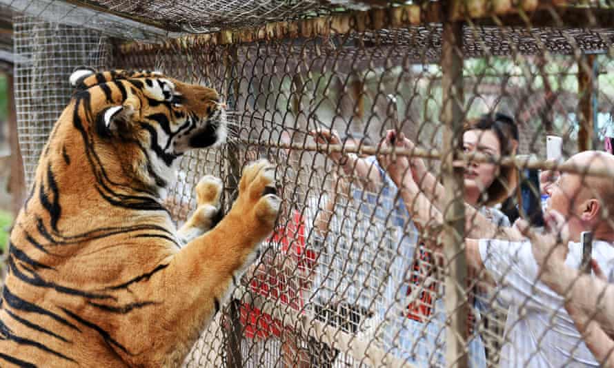 zoo china