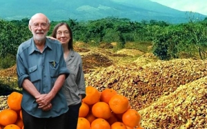 2 Saintis Gila Buang 12,000 Tan Kulit Limau Tetapi Hasilnya Mengagumkan