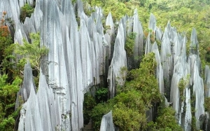 4 Kawasan di Malaysia Yang Diiktiraf Tapak Warisan Dunia