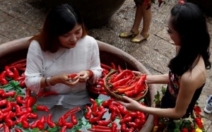 5 cili paling pedas berapi dalam dunia