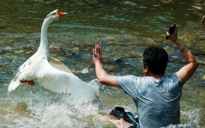 7 Undang-Undang Pelik Di China Yang Tak Berlaku Di Malaysia