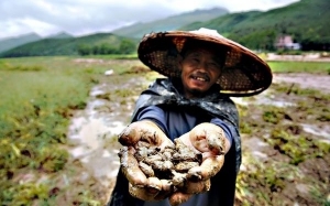 9 Prinsip Orang Cina Yang Membuatkan Mereka Berjaya Di Mana Sahaja