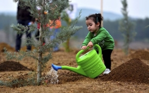 Apa Berlaku Jika Setiap Orang Di Dunia Tanam 1 Pokok Setahun Selama 20 Tahun