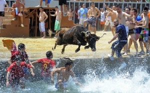 Bagaimana Sukan Lembu Terjun Sungai Dimainkan di Sepanyol - Bous a la Mar