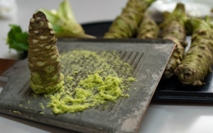 Ini Sebab Wasabi Original Tersangat Mahal Dan Sukar Didapati