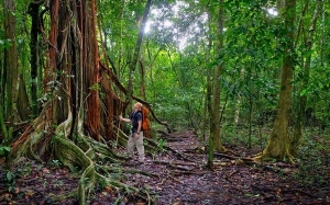 Kelebihan Aktiviti Hiking Yang Ramai Orang Tidak Tahu