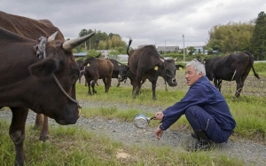 Kisah Manusia Yang Tinggal Di Bandar Hantu Fukushima Seorang Diri - Naoto Matsumura