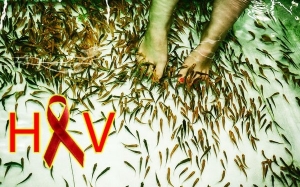 Rawatan "Fish Spa" Berisiko Sebar HIV Dan Hepatitis C