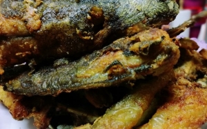 Resepi Ikan Keli Goreng Berlada Paling Simple