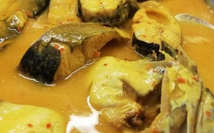 Resepi Ikan Patin Masak Tempoyak