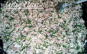 Resepi Nasi Ulam Utara