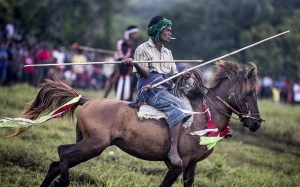 Ritual korban darah semasa sambutan perayaan Pasola di Sumba, Indonesia