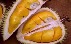 Sejarah dan Asal Usul Durian Musang King