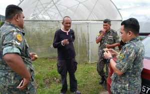 Ramai tak tahu pokok tin boleh ditanam di Malaysia dan ada yang mengusahakannya